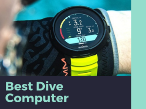 Best scuba dive log software
